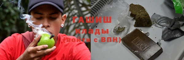 амф Гусь-Хрустальный