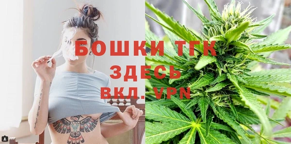 амф Гусь-Хрустальный