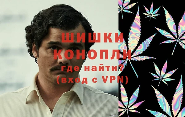 амф Гусь-Хрустальный
