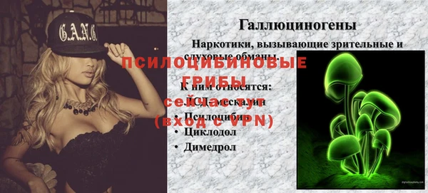 ALPHA PVP Гусиноозёрск