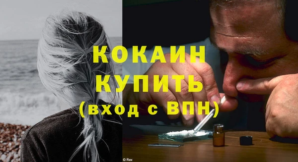 амф Гусь-Хрустальный